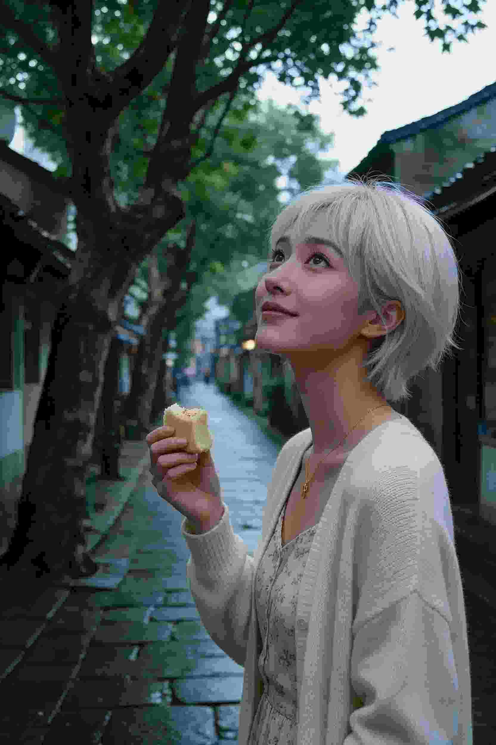 清月传